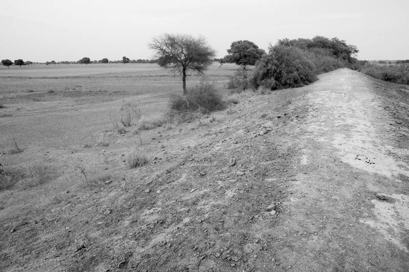 The embankment of Masurdi Khadin-A Nature-Based Solution for Water for Agriculture in Thar Desert, Jaisalmer district, Rajasthan